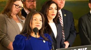 GOP seeks probe of $180B in fraud with taxpayers’ money