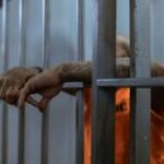 Muslim man sentenced in the US on terrorism charges, supporting ISIS