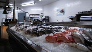 Sullivan, Peltola spar over fishing in Senate debate