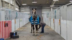 Racing board declines bankrupt applicant with track sold to data center builder