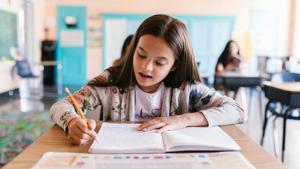 Education tax credit rules released as Illinois waits