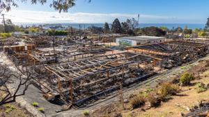 Inquiry lists failures in response to Palisades, Eaton fires