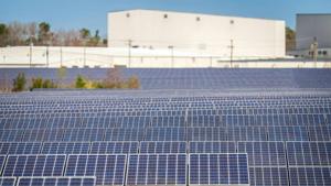 Natural gas prices down as solar power generation jumps 22%